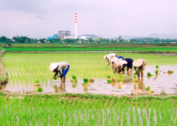 Đại Từ vào vụ xuân